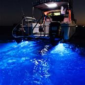 Projecteur sous-marin LED Blanc / Bleu APELO A2