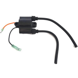 Bobina de encendido YAMAHA y MERCURY 8 y 9.9Cv 4-Tiempos 6G8-85570-21 PIECESBATEAUX.COM