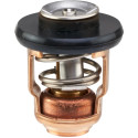 Termostato 60 °C HONDA BF8 a BF225 18-3628-1 PIECESBATEAUX.COM