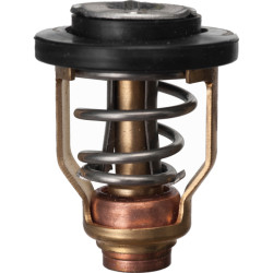 Termostato YAMAHA F75 a F250 y MERCURY REC67F-12411-01--8M6013865 PIECESBATEAUX.COM