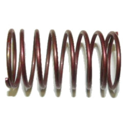 Molla termostato JOHNSON-EVINRUDE 333858 PIECESBATEAUX.COM