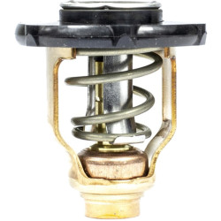 Termostato YAMAHA F115B, F115C, F130A PAF115-05000032 PIECESBATEAUX.COM