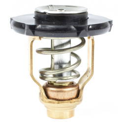 Termostato YAMAHA F80D, F100F, F100G (2017 e +) REC6FP-12411-00 PIECESBATEAUX.COM