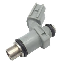Iniettore YAMAHA F30 e F40 (2009-2020) PR-1376BG PIECESBATEAUX.COM
