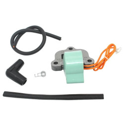 Bobina JOHNSON EVINRUDE 50 a 135 CV (1971 a 75) 18-5194 PIECESBATEAUX.COM