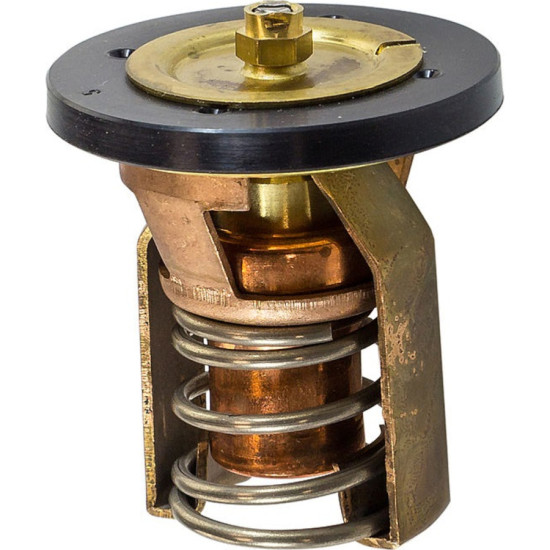 Termostato TOHATSU M80A, M90A 3B7-01030-1 PIECESBATEAUX.COM
