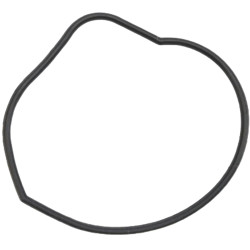 Guarnizione corpo pompa acqua JOHNSON EVINRUDE 35-60 CV REC315788 PIECESBATEAUX.COM