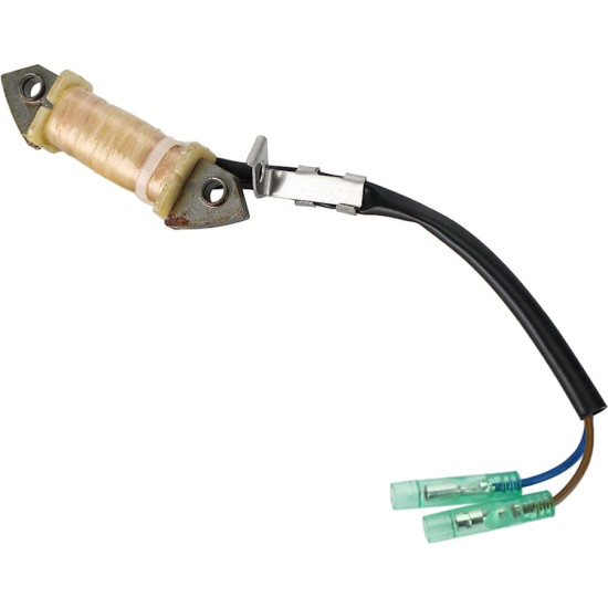 Bobina de carga YAMAHA F9.9 y F15 PAF15-07000300 PIECESBATEAUX.COM