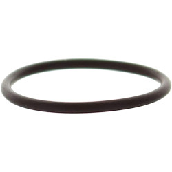 Guarnizione filtro benzina JOHNSON EVINRUDE 124369 PIECESBATEAUX.COM