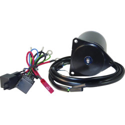 Motore di assetto YAMAHA 60 a 90Cv 2-Tempi 3 Fili PT612NK-3 PIECESBATEAUX.COM