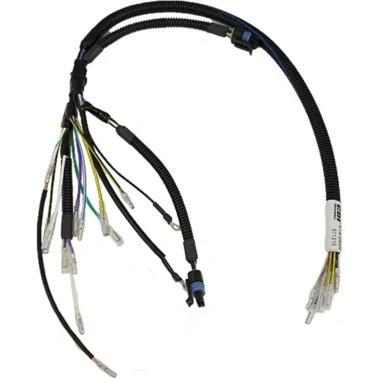 Fascio MERCURY 30 e 40Cv 2 Tempi 2 Cilindri avviamento manuale 854323A2 PIECESBATEAUX.COM