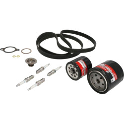 Revizione kit 300 ore MERCRUISER V6 4.3L Carburatore ALPHA 8M0147063 PIECESBATEAUX.COM
