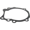 Guarnizione passaggio acqua OMC COBRA 915719 PIECESBATEAUX.COM