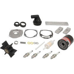 Kit 300 ore MERCURY 75 a 115 CV 4 Tempi EFI (2014 e +) 8M0097855 PIECESBATEAUX.COM
