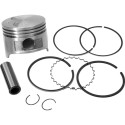 Pistone MERCURY e TOHATSU F4, F5, F6 804768A03 PIECESBATEAUX.COM