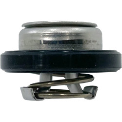 Valvola pressione acqua SUZUKI DF25-DF300 17660-99E01 PIECESBATEAUX.COM