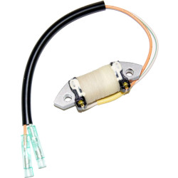 Bobina di eccitazione MERCURY e TOHATSU 40 e 50CV 2-Tempi 160582 PIECESBATEAUX.COM