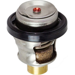 Termostato SUZUKI DF40A, DF50A, DF60A (2010 y +) 17670-93955 PIECESBATEAUX.COM