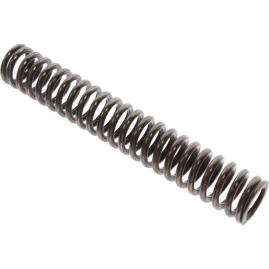 Muelle de trinquete para pies de embrague MERCURY de 4 a 6 tiempos y TOHATSU 17667 PIECESBATEAUX.COM