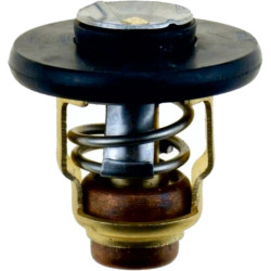 Termostato YAMAHA F20F, F20G, F25G 6FM-12411-00 PIECESBATEAUX.COM