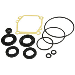 Kit guarnizioni piede motore SUZUKI DF90, DF100 e DF115 (fino al 2012) 25700-90J01 PIECESBATEAUX.COM