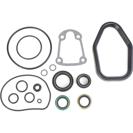 Kit Guarnizioni Piedino JOHNSON EVINRUDE 40 a 75Cv 2-Tempi (piede 20'') REC5000309 PIECESBATEAUX.COM