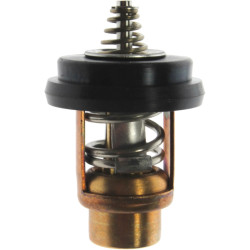 Termostato TOHATSU MFS25 a MFS60 3KY-01030-1 PIECESBATEAUX.COM