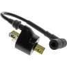 Bobina di accensione MERCURY 4 e 5Cv 2-Tempi e TOHATSU 815113T02 PIECESBATEAUX.COM