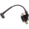 Bobine d'Allumage MERCURY 4 et 5Cv 2Temps et TOHATSU 815113T02 PIECESBATEAUX.COM
