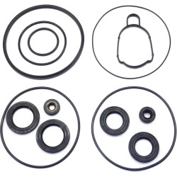 Kit juntas de pies SUZUKI DF250AP y DF300AP 25700-93L02 PIECESBATEAUX.COM