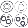 SUZUKI DF250AP and DF300AP gearcase kit 25700-93L02 PIECESBATEAUX.COM