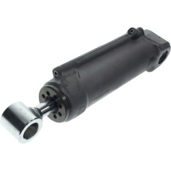 SUZUKI DF200 to DF250 Trim Cylinder 48400-93J07 PIECESBATEAUX.COM