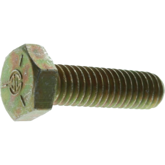 Vite BRP Johnson-Evinrude 302479 PIECESBATEAUX.COM