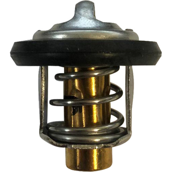 Termostato MERCURY 35 a 60 EFI 4Temps (2018 y posteriores) y 5,7 L V10 8M0168892 PIECESBATEAUX.COM