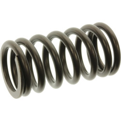 Resorte de válvula YAMAHA F150 a F350 6CB-12113-00-00 PIECESBATEAUX.COM