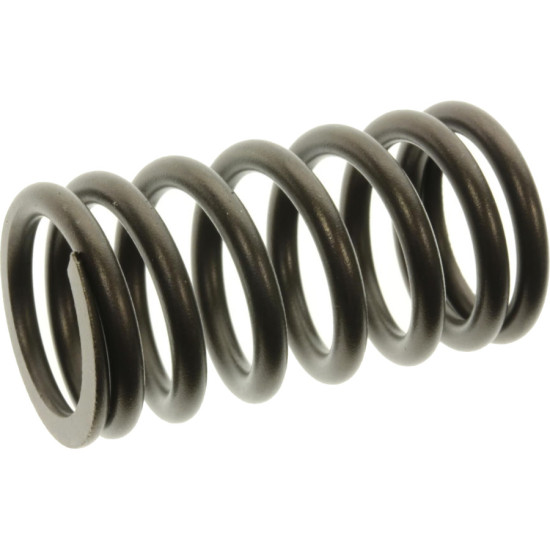 Molla valvola YAMAHA F150 a F350 6CB-12113-00-00 PIECESBATEAUX.COM