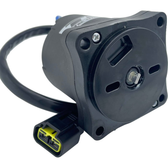 Motore fuoribordo SUZUKI DF70 a DF100 (dal 2019) REC38100-87L12 PIECESBATEAUX.COM