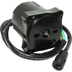 Motore di trim SUZUKI, HONDA, TOHATSU REC36120-ZY6-013 PIECESBATEAUX.COM