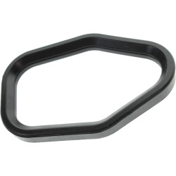 Guarnizione scarico JOHNSON EVINRUDE 324937 PIECESBATEAUX.COM