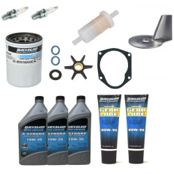 Revizione kit MERCURY 25Cv 4-Tempi Carburatore ME25-CARB PIECESBATEAUX.COM