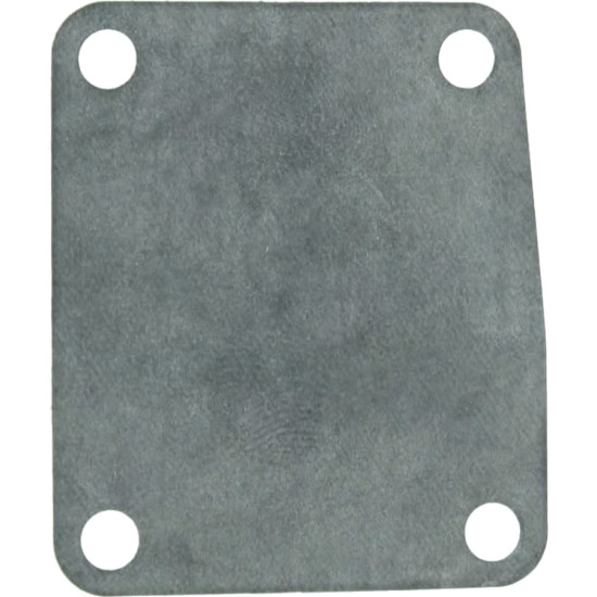 Membrana pompa benzina YAMAHA 9,9 e 15 CV 2 tempi REC63V-24411-00 PIECESBATEAUX.COM