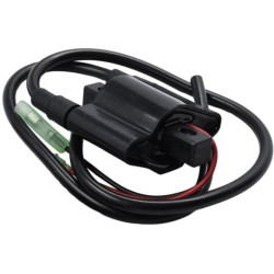 Bobine d'allumage YAMAHA 48 et 55Cv 2Temps 2Cylindres 696-85570-12-00 PIECESBATEAUX.COM