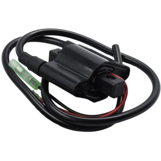 Bobine d'allumage YAMAHA 48 et 55Cv 2Temps 2Cylindres 696-85570-12-00 PIECESBATEAUX.COM