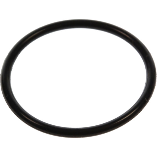 O-ring HONDA 16919-ZZ5-003 PIECESBATEAUX.COM