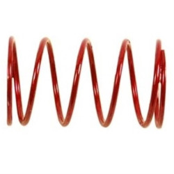 Molla termostato JOHNSON EVINRUDE 338174 PIECESBATEAUX.COM