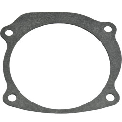 Guarnizione pompa acqua JOHNSON EVINRUDE 60-300CV REC338484 PIECESBATEAUX.COM