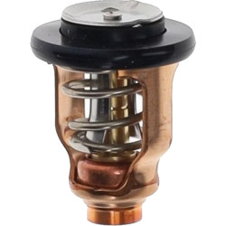 Termostato SUZUKI 50°C DF100 a DF300 17670-90J21 PIECESBATEAUX.COM