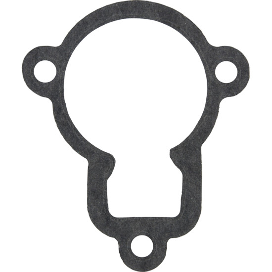 Guarnizione coperchio termostato TOHATSU 353-01032-0 PIECESBATEAUX.COM