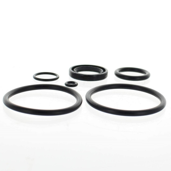 Kit juntas de cilindro de inclinación JOHNSON-EVINRUDE Showa 390007 PIECESBATEAUX.COM