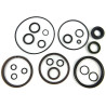 Dichtungssatz Trimmzylinder JOHNSON EVINRUDE 25 bis 50 PS (1989-2003) 435567 PIECESBATEAUX.COM